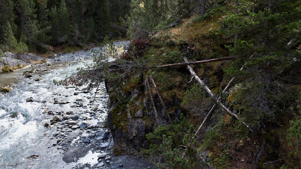 Der Bach Spöl im Nationalpark