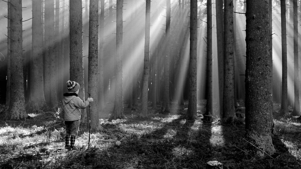 Ein Kind steht im Wald, durch den sich die Sonne bricht.