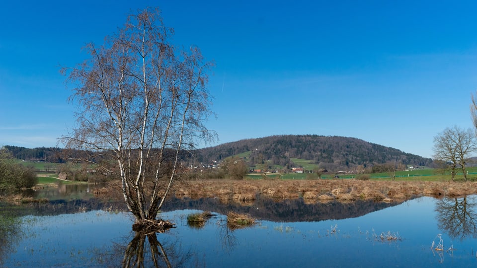 Blauer See und blauer Himmel, so präsentierte sich die Landschaft am Sonntagmittag rund um den Stadlersee.