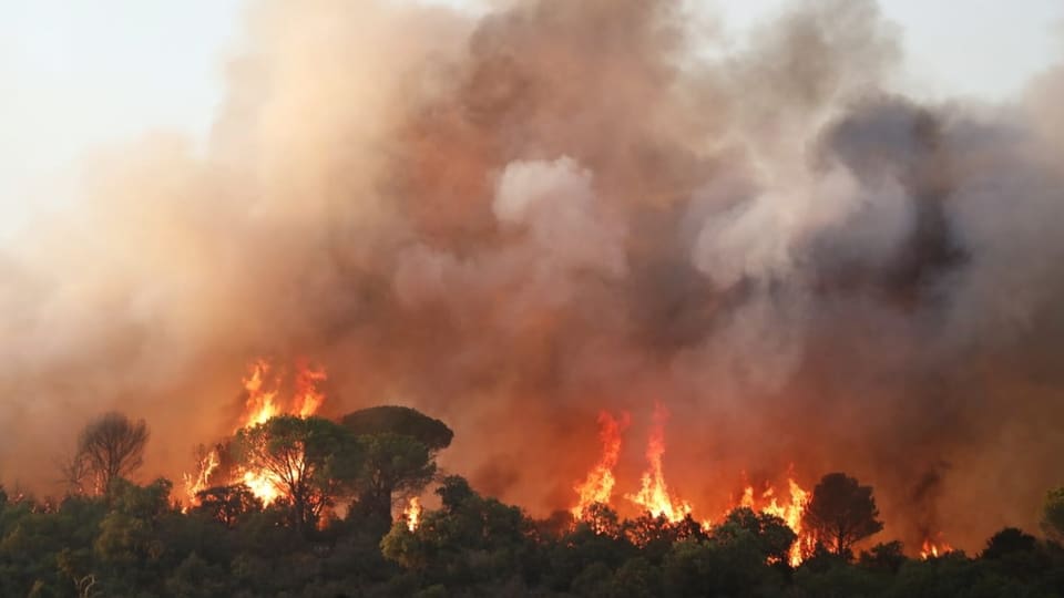 Brände nahe St. Tropez.