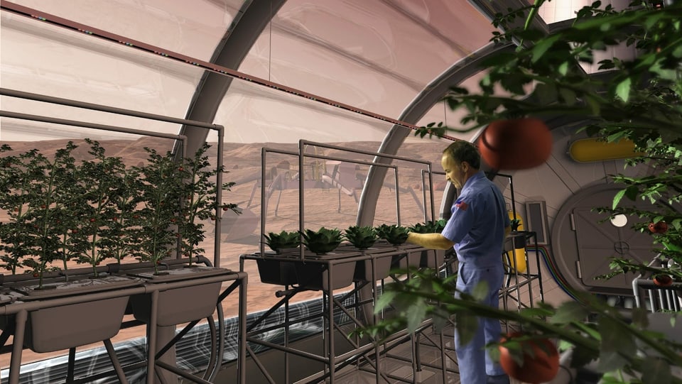 eine Visualisierung, wo ein Mann Gemüse erntet im Treibhaus auf dem Mars