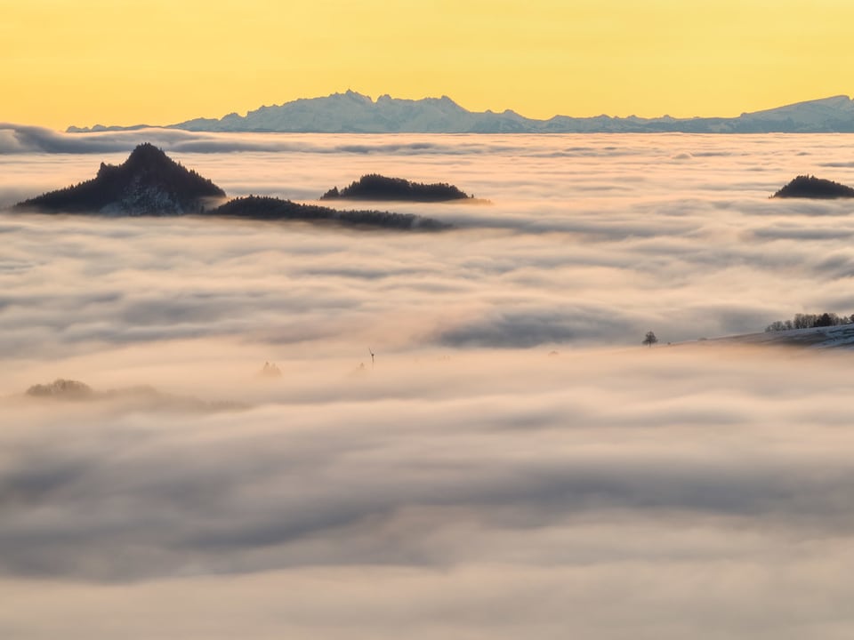 Blick auf ein Nebelmeer aus welchem Hügelkuppen rausschauen. Im Hintergrund sieht man die Alpen.