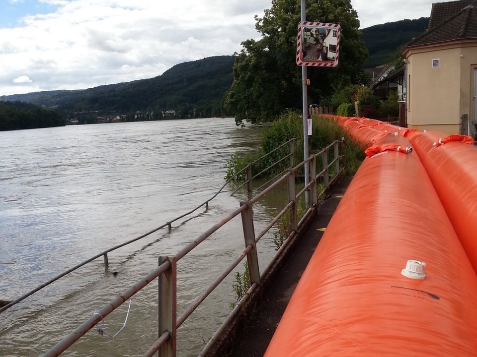 Orange Schläuche am Rhein-Ufer