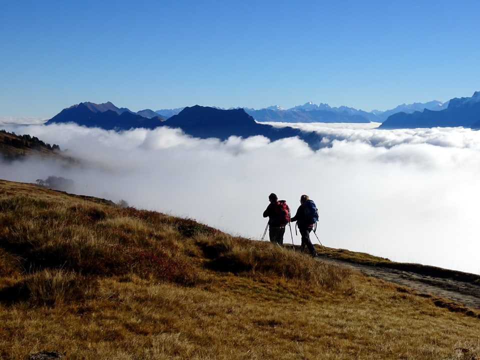 Zwei Wanderer auf rostbrauner Herbstwiese an der Sonne. Unter ihnen das weisse Nebelmeer, oben der blaue HImmel. 