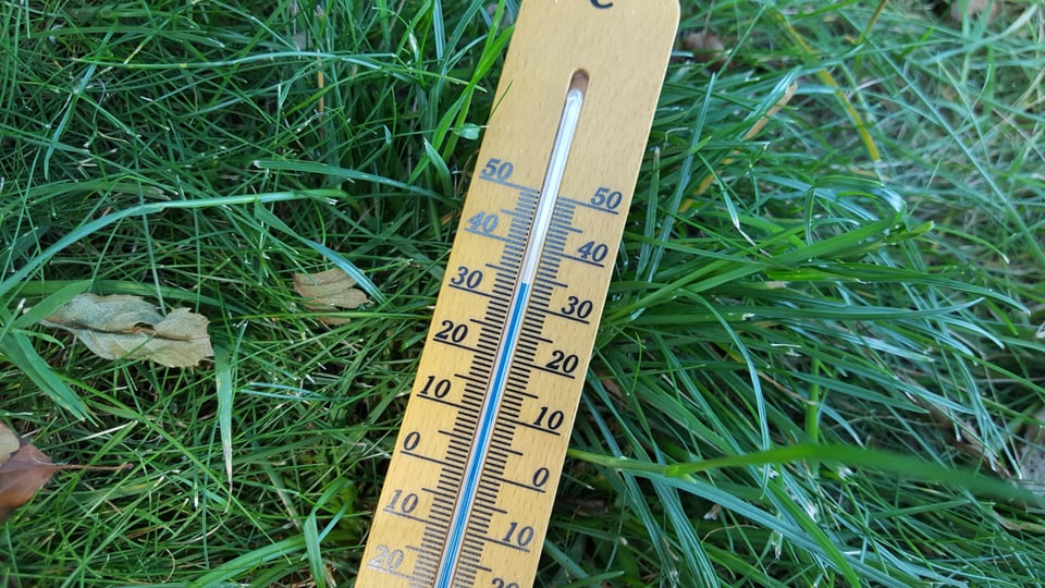 Thermometer liegt im Gras und zeigt über 30 Grad an.