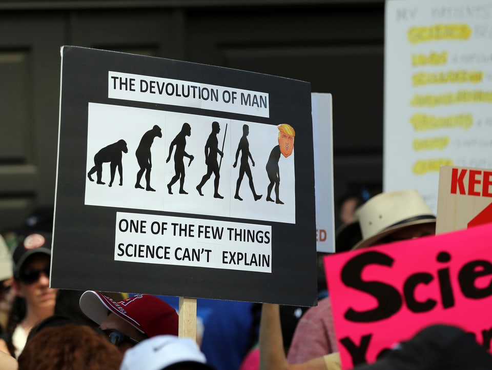 Ein schwarz-weisses Plakat, das den Affen bis hin zum Menschen zeigt. Ganz vorne ist ein gekrümmter Trump. 