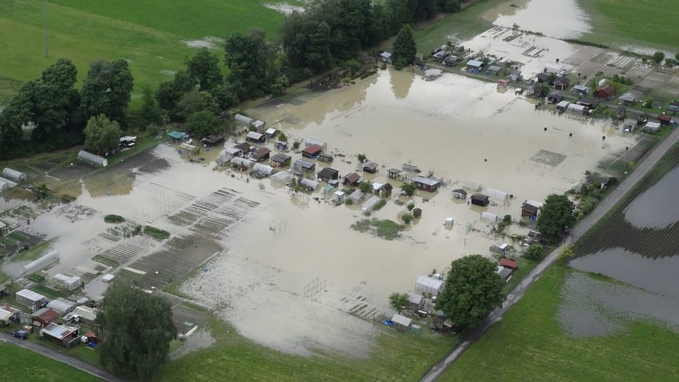 Überschwemmte Schrebergärten im Balgacher Riet (SG) am 2. Juni 2013.