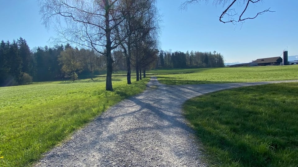 Kiesweg. 