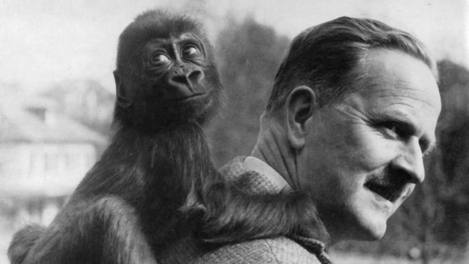 Gorillaweibchen Goma mit ihrem Ziehvater Ernst Lang, Direktor des Basler Zoos von 1953 bis 1979.