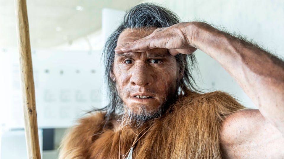 Der Neandertaler und die abstrakte Kunst