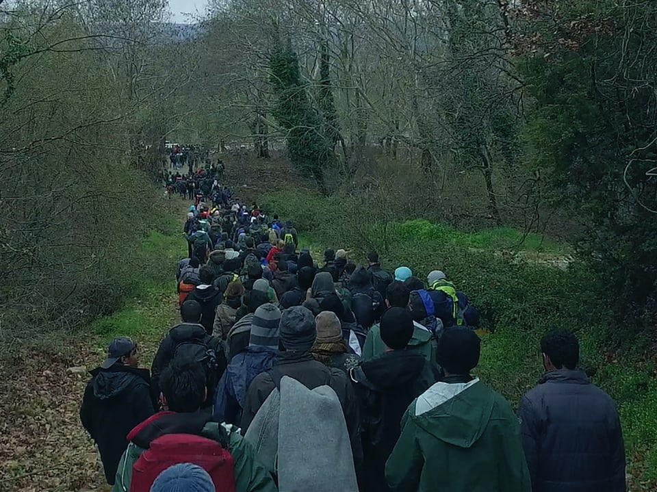 Ein Flüchtlingsstrom im Wald, von hinten gefilmt.