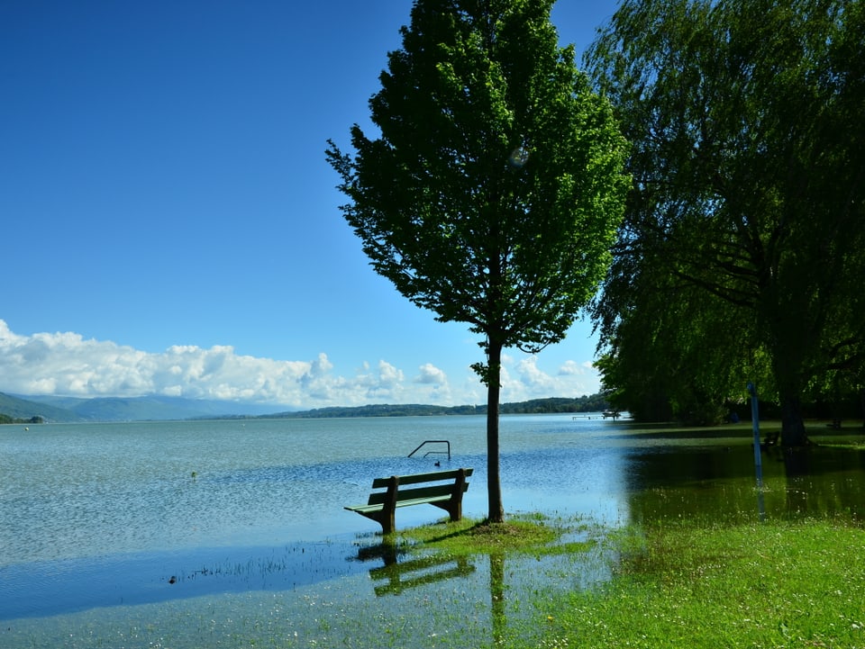 Im Zentrum des Bildes ein Baum und davor, knapp über Wasser, eine Spazierbank. Im Hintergrund der Bielersee und überflutete Parkwiesen.