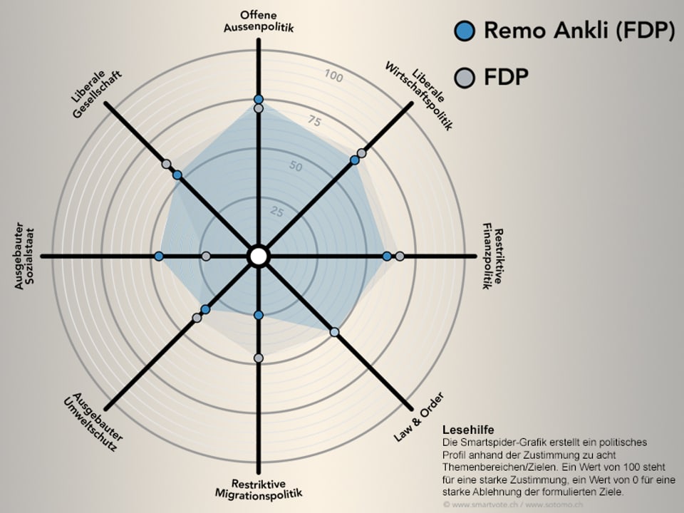 Smartspider von Smartvote für Remo Ankli.