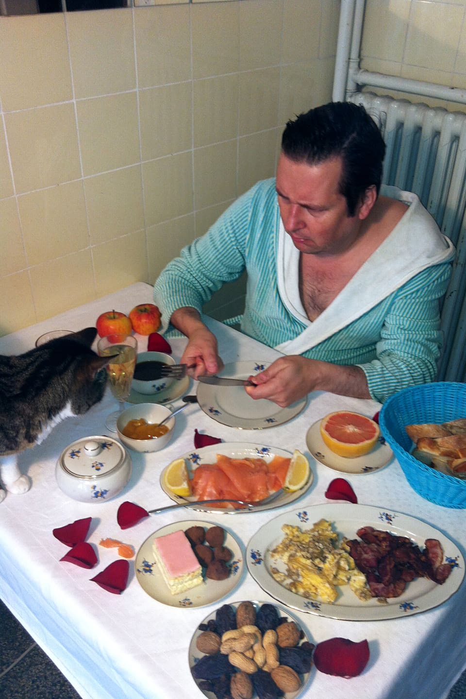 Eine Katze ist auf den Tisch gesprungen. Sie sitzt vis-à-vis von Matto Kämpf.