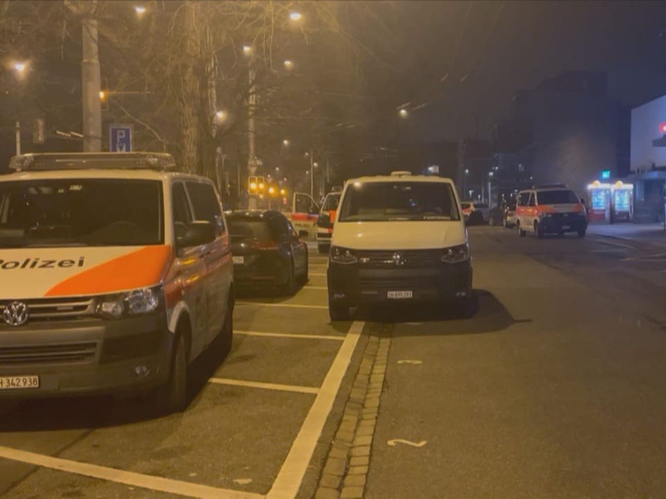Polizeiautos parkieren auf einer nächtlichen Strasse, Parkplätze