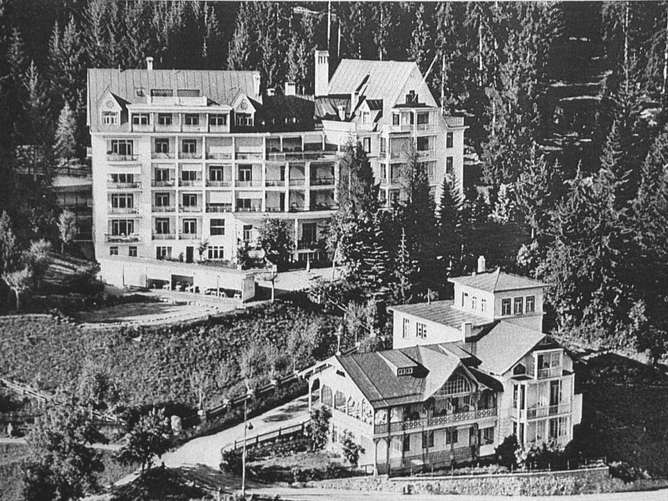 Historical photo: Waldhotel with Villa am Stein in front of it.