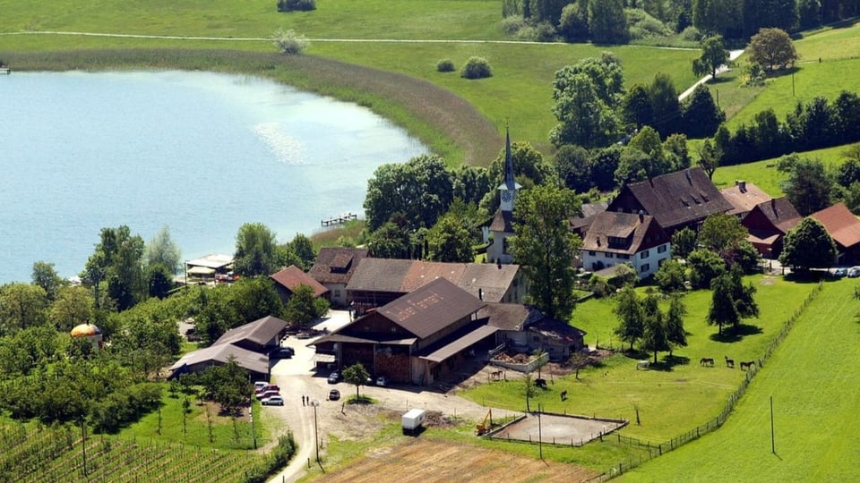 Die Gemeinde Seegräben liegt am Pfäffikersee im Zürcher Oberland.