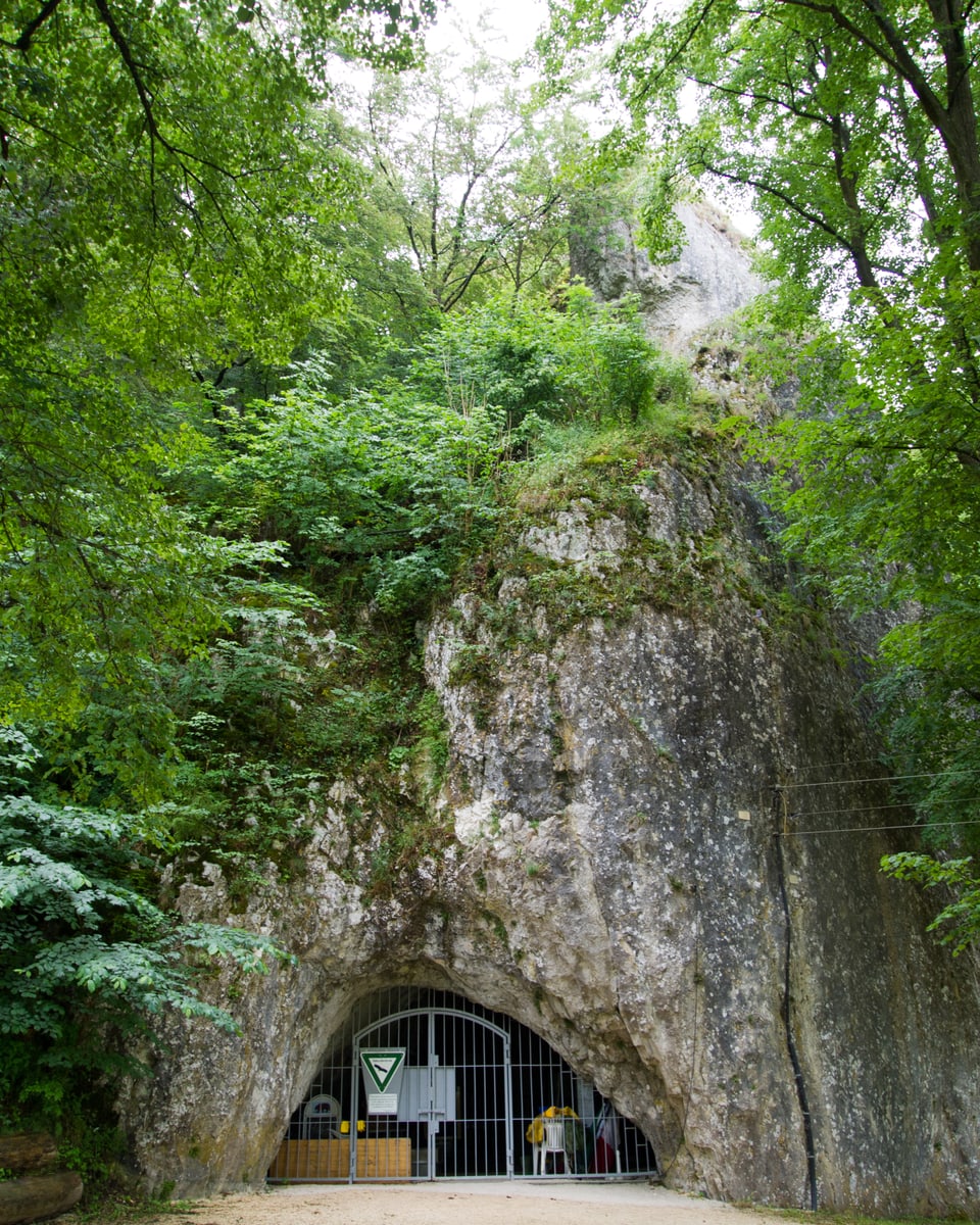 Das Foto zeigt den vergitterten Eingang zur Höhle Hohle Fels in der Bergwand.
