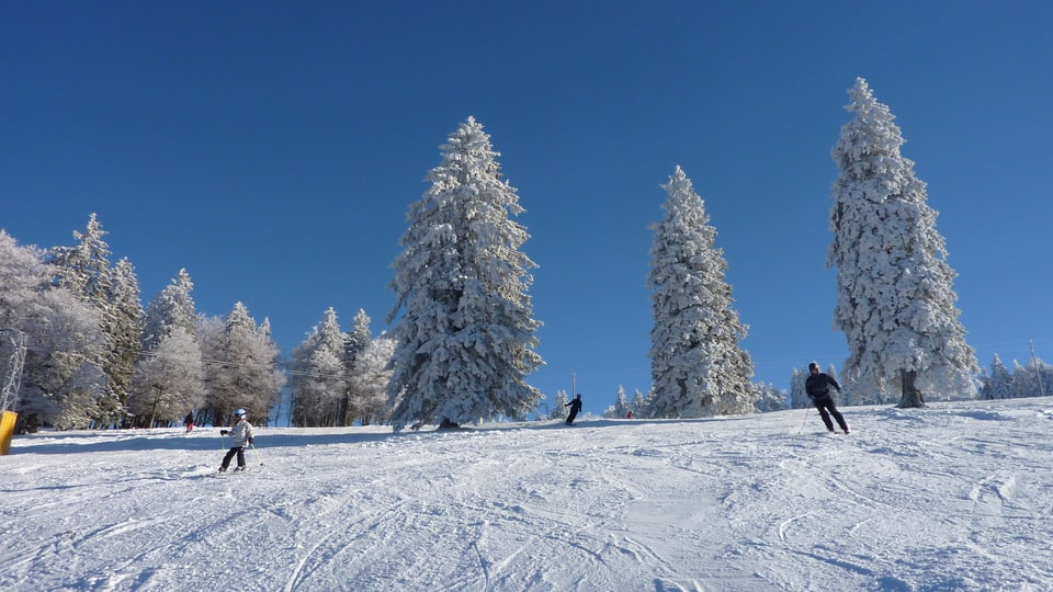 Schöne Skipiste auf dem Grenchenberg, verschneite Bäume, blauer Himmel