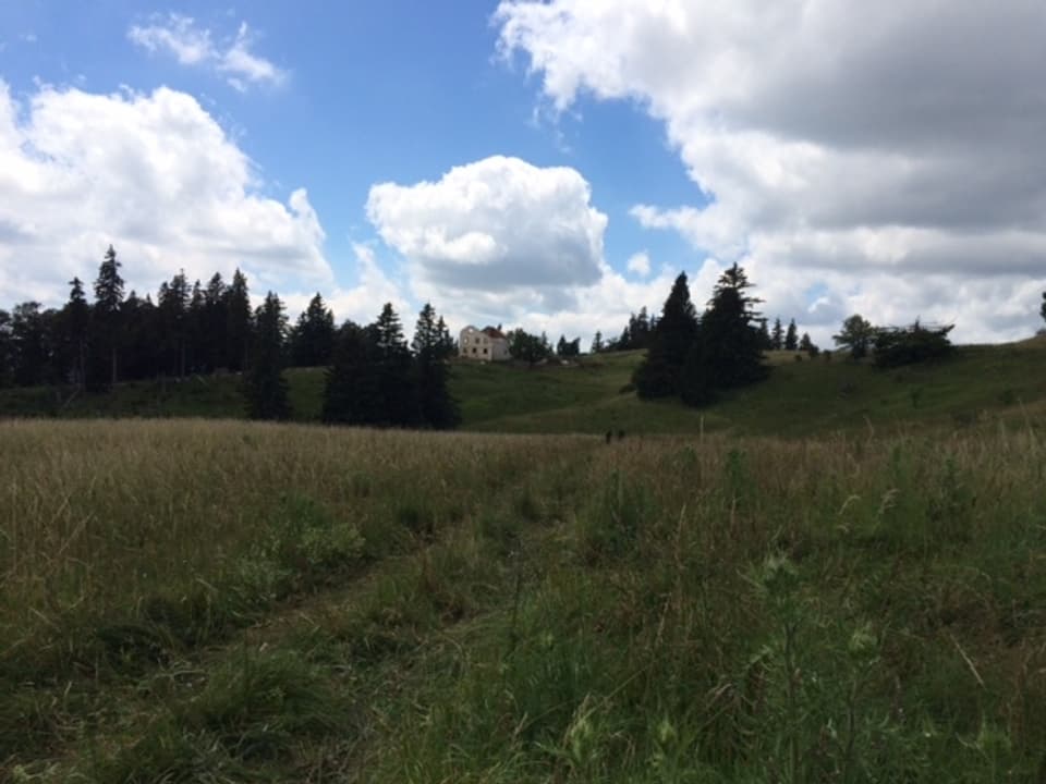 Aargau Solothurn - Abbruch des Bauernhauses auf Bettlachstock