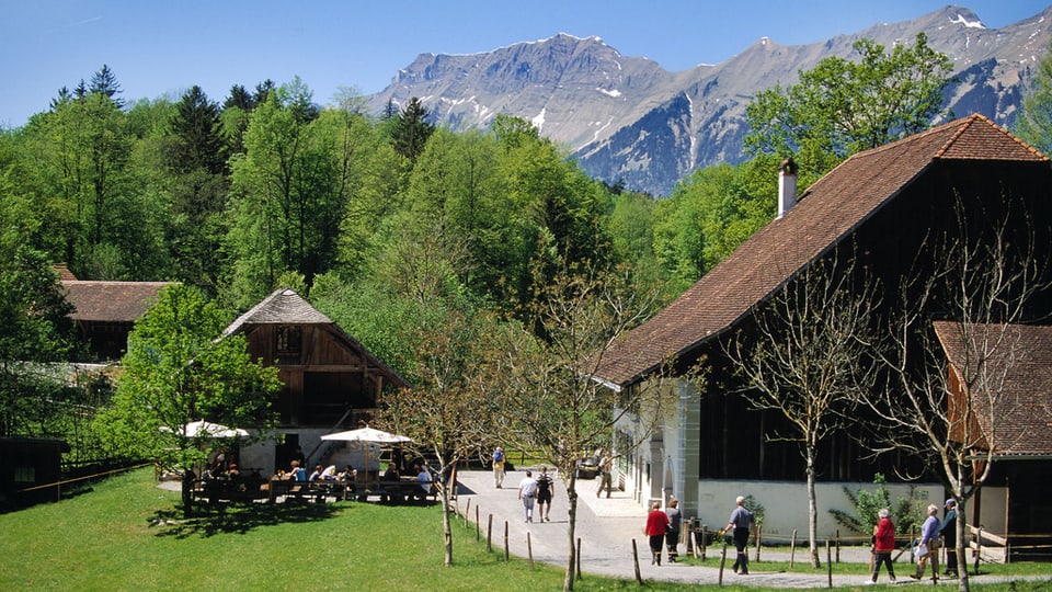 Häuser auf dem Ballenberg