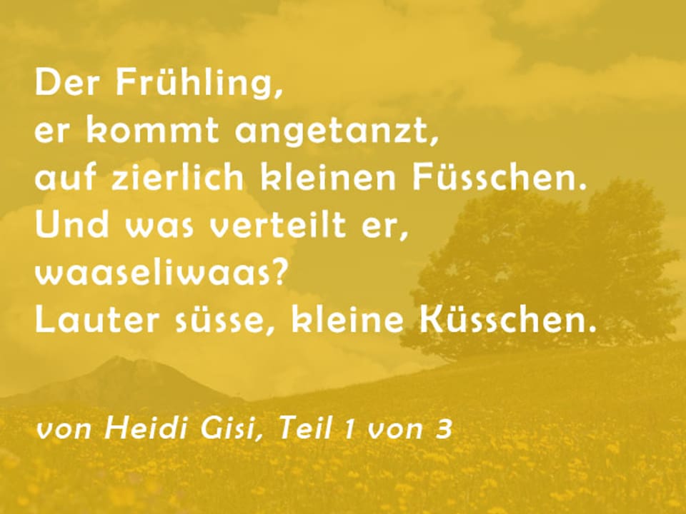 Gedicht von Heidi Gisi: Der Frühling, er kommt angetanzt, auf zierlich kleinen Füsschen. Und was verteilt er, waaseliwaas?  Lauter süsse, kleine Küsschen.