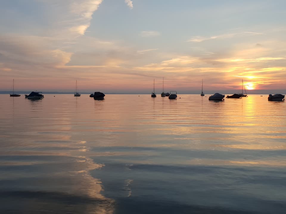 Sonnenaufgang am Bodensee. Auf dem See einige Motorboote und Segelboote vor Anker.
