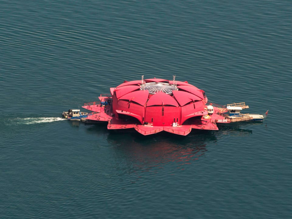 Schiff transportiert eine grosse rosarote Seerose.