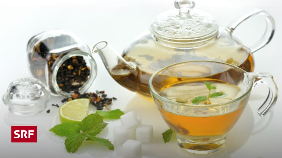 Tee ist und macht gesund Ratgeber