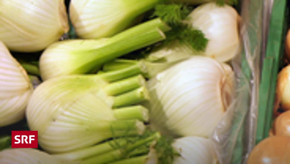 Macht Fenchel gute Laune? Schlauer in 60 Sekunden SRF
