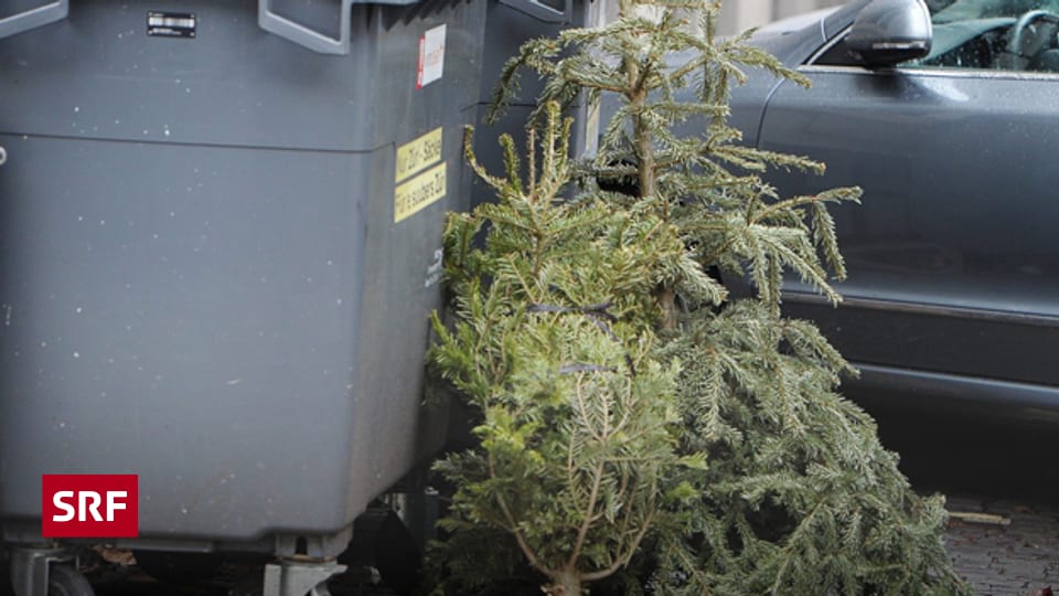 Wie lange dauert Weihnachten? 100 Sekunden Wissen SRF