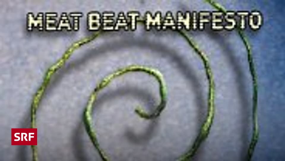 Meat Beat Manifesto At the Center Klangfenster SRF