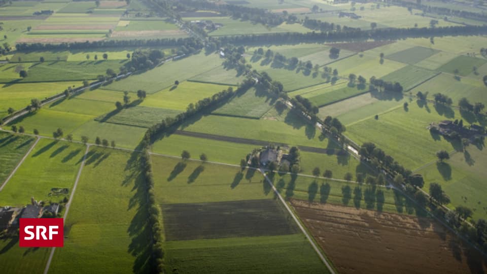 Hochwasserschutz bei Rheintaler Binnenkanal ein Schritt weiter