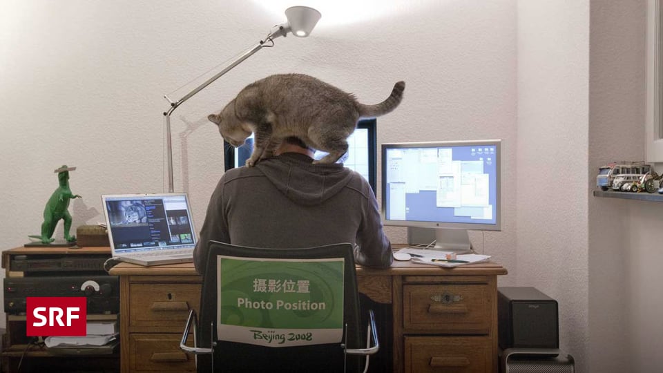 Zuhause arbeiten Was darf ich, was nicht? Espresso SRF