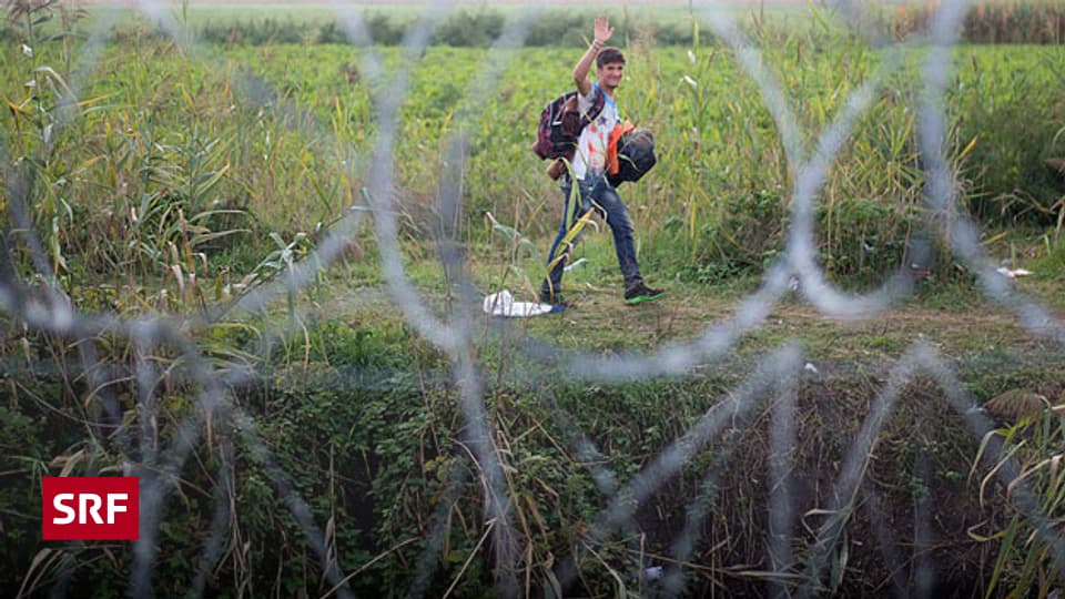 Kinder allein auf der Flucht - Doppelpunkt - SRF