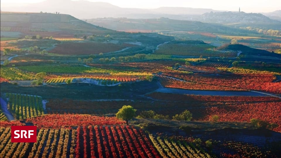 rioja der rotweinklassiker aus spanien a point srf