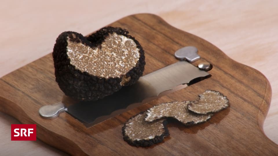 «Elfenbein, Champagner, Trüffel» von Kamil Krejcí - Schreckmümpfeli - SRF