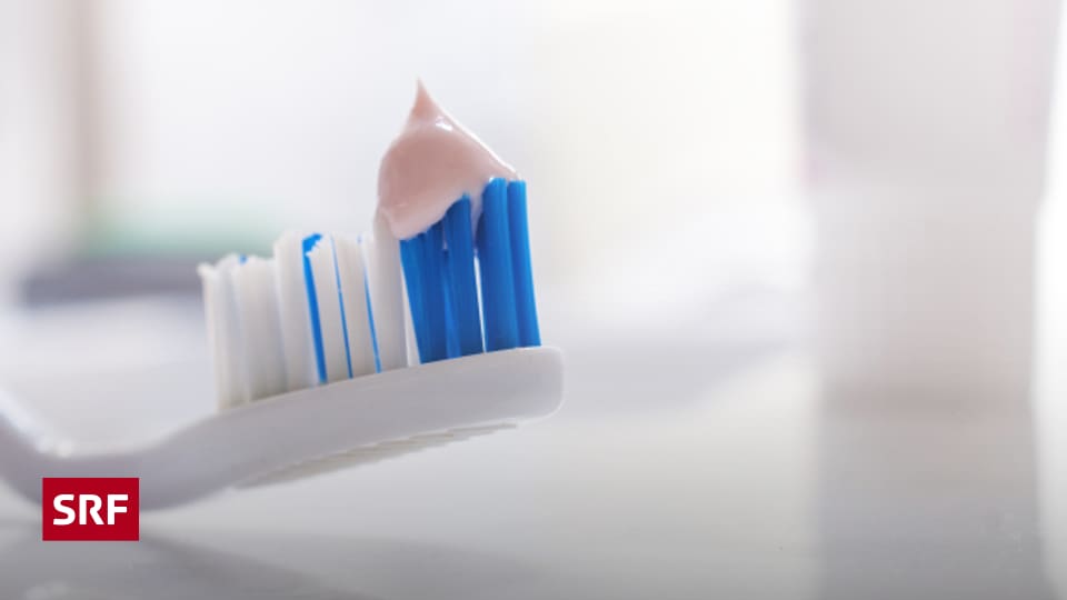 Zahnbürste und Zahnpasta welche sind gut für die Zähne? Ratgeber SRF