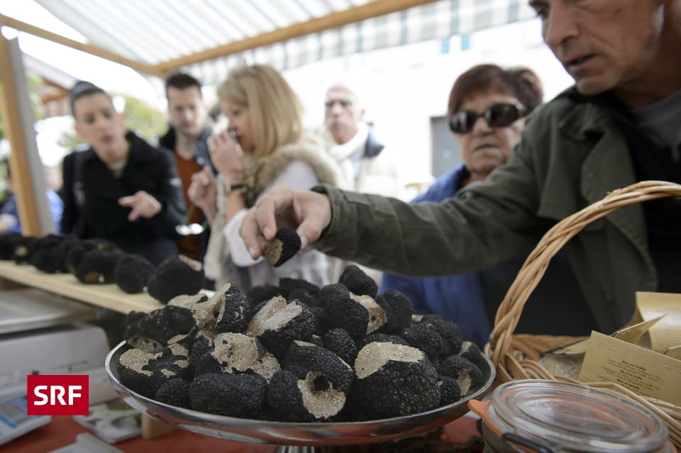 Trüffel kaufen A point SRF