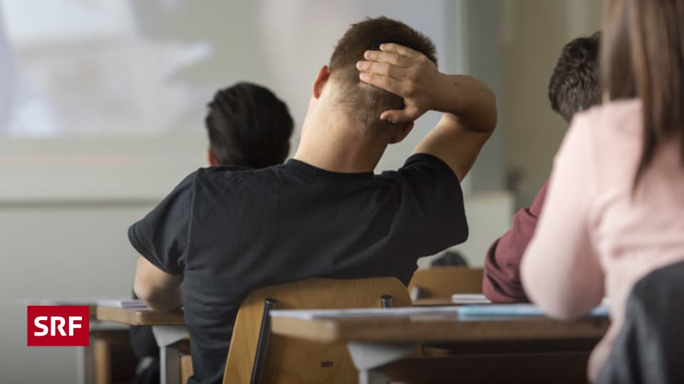 Schule Allein unter vielen Kontext SRF