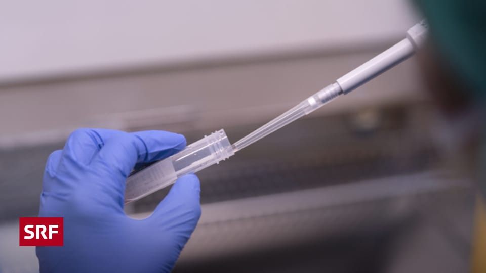 Schweizer Startup will PCRTests in Afrika zugänglicher machen Echo