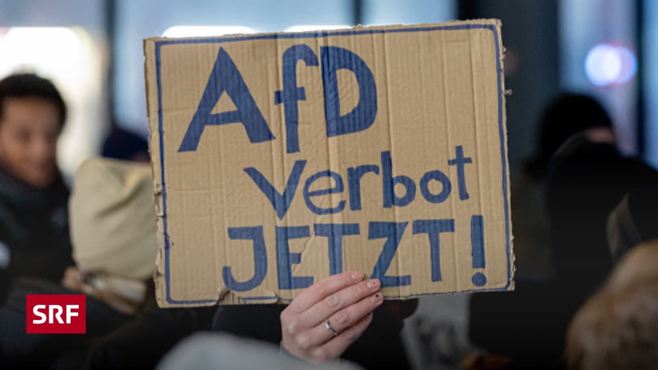 Die AfD verbieten? Ein Verfassungsrechtler warnt Echo der Zeit SRF