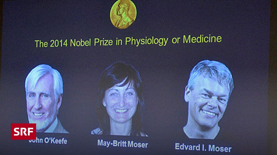 Nobelpreis für Medizin geht an drei Hirnforscher Rendezvous SRF