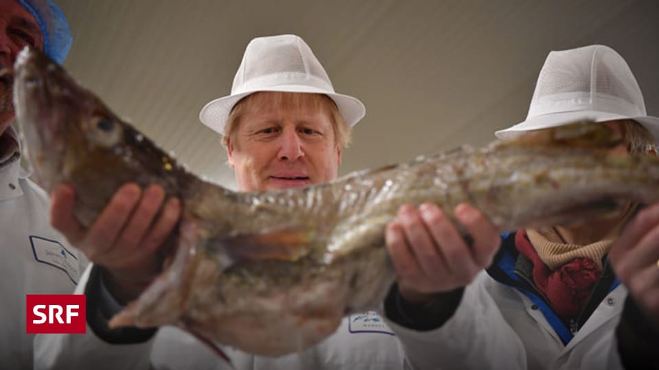 Wem gehört welcher Fisch? Echo der Zeit SRF