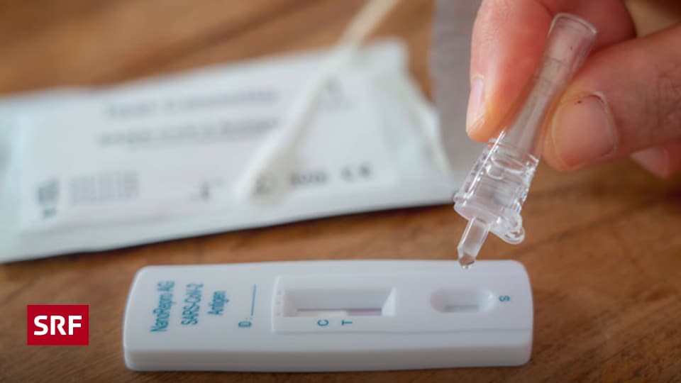 Wie funktioniert der Corona-Selbsttest für zu Hause? - Info 3 - SRF