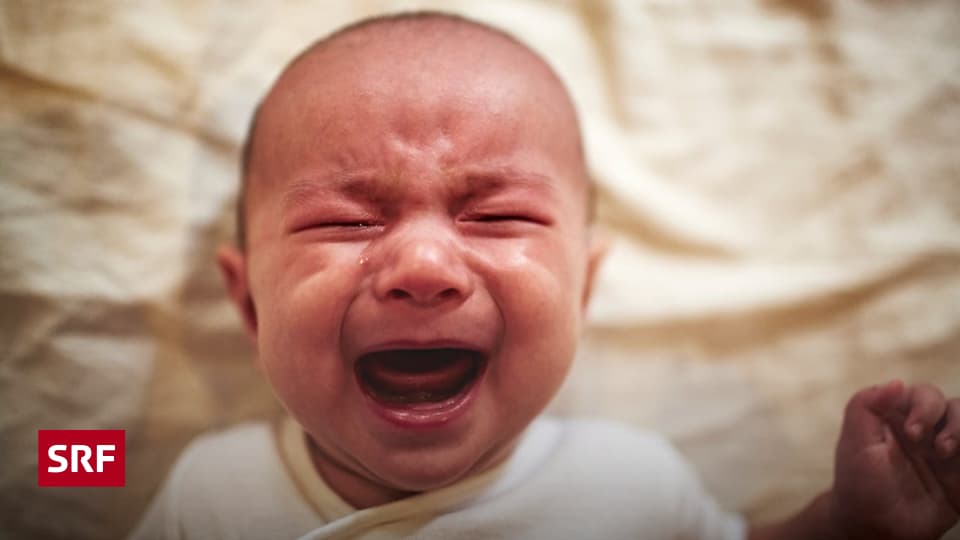 Schreibabys Überlebenskampf für Eltern Wenn Babys bis zur Ohnmacht