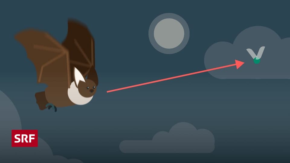 Sensenmann Statue Mit Kristallkugel & Fledermäusen - Gruseldekoration Für Halloween