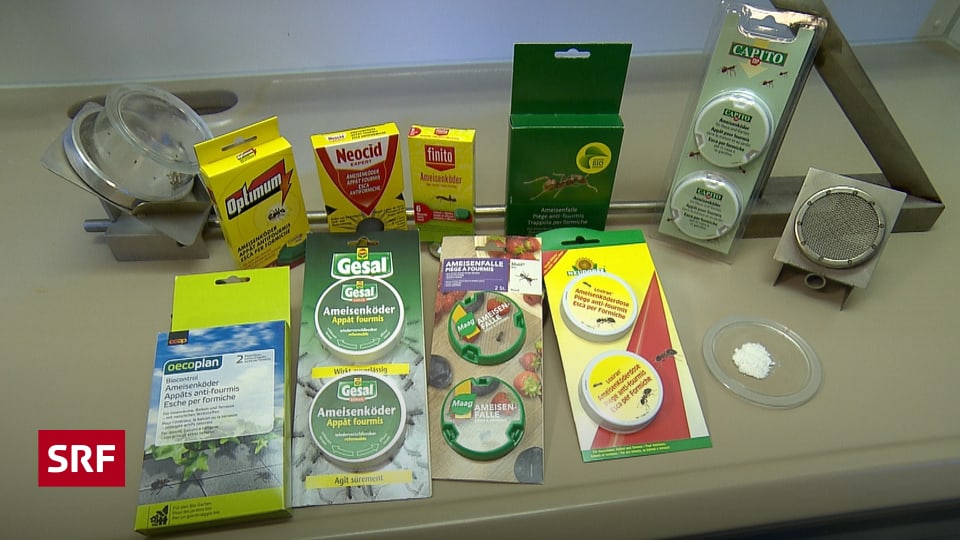 Haus, Garten & Tiere - Ameisenkder im Test: Einige Produkte taugen wenig -  Kassensturz Espresso - SRF
