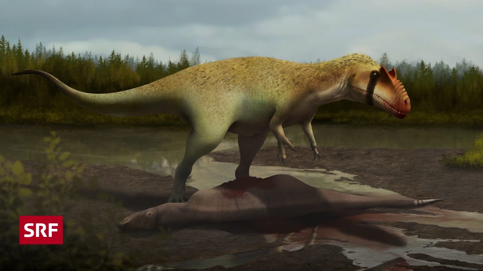 Dinosaurier aller zeiten der größte Dinosaurier: Größter