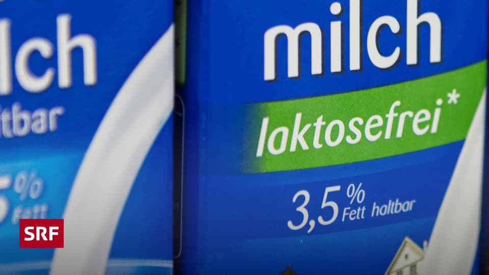 Einfacher Kniff Wie kommt die Laktose aus der Milch? Wissen SRF